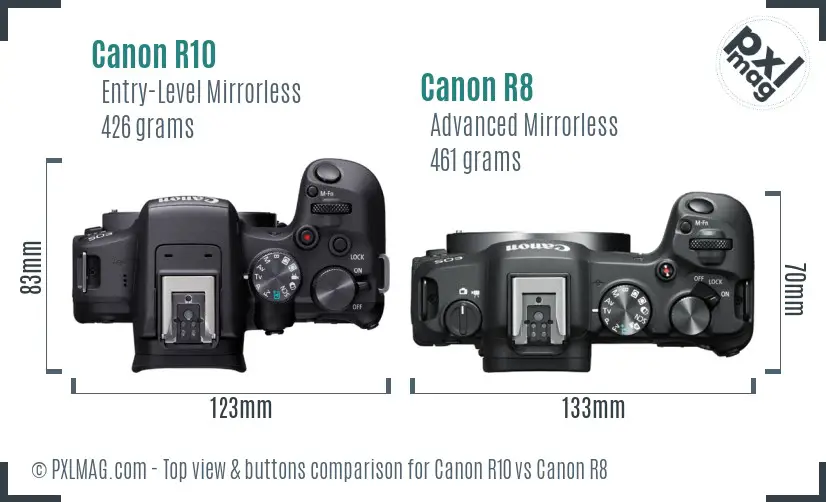 Canon R10 vs Canon R8 top view buttons comparison