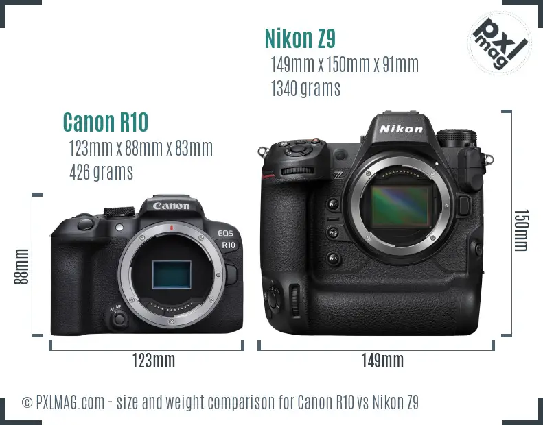 Canon R10 vs Nikon Z9 size comparison