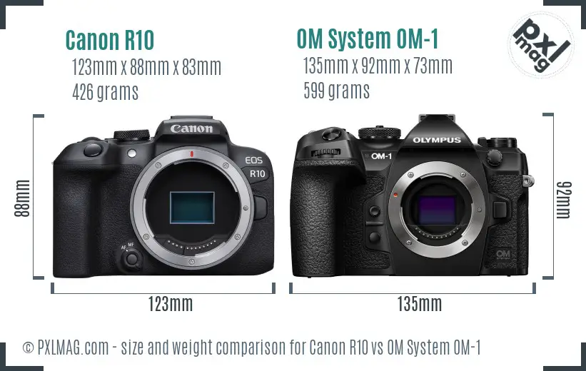 Canon R10 vs OM System OM-1 size comparison