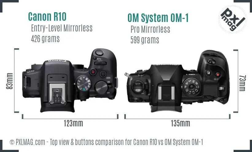 Canon R10 vs OM System OM-1 top view buttons comparison