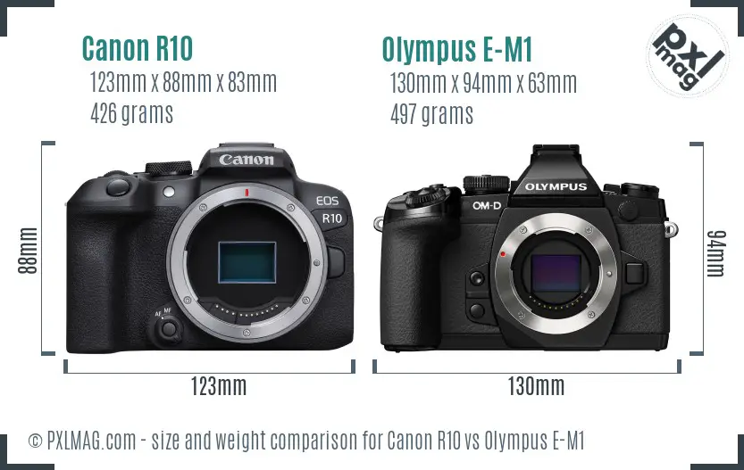 Canon R10 vs Olympus E-M1 size comparison Canon R10 vs Olympus E-M1 size comparison