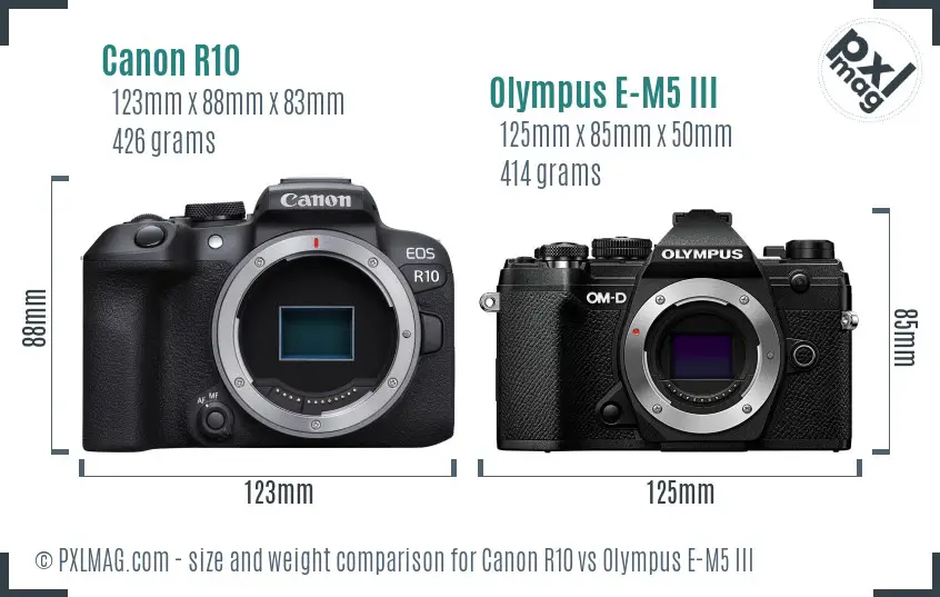 Canon R10 vs Olympus E-M5 III size comparison Canon R10 vs Olympus E-M5 III size comparison