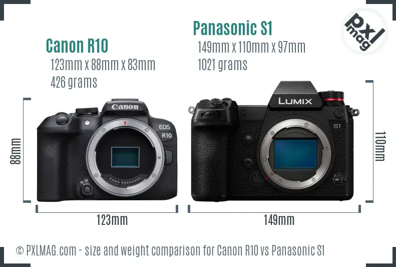 Canon R10 vs Panasonic S1 size comparison Canon R10 vs Panasonic S1 size comparison