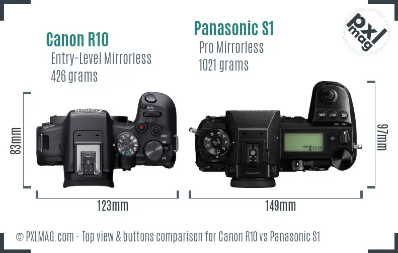 Canon R10 vs Panasonic S1 top view buttons comparison