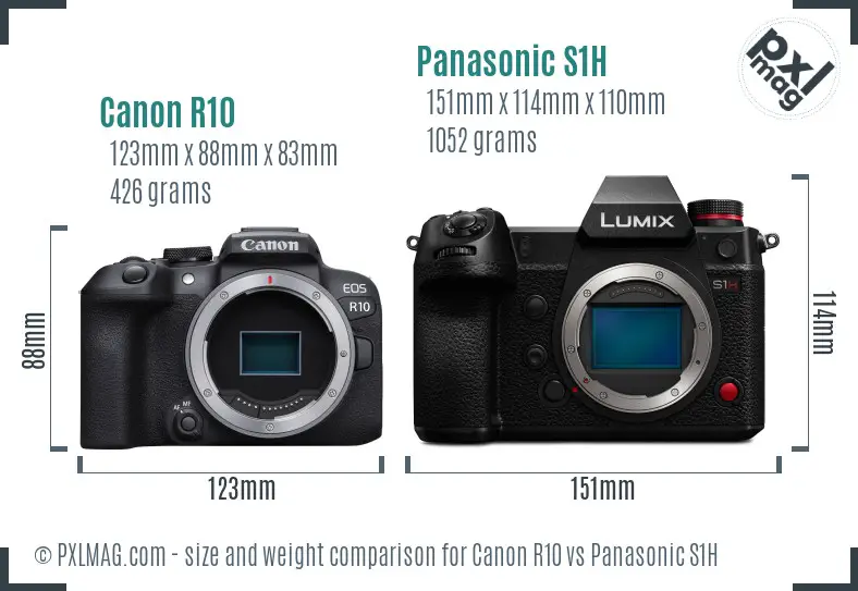 Canon R10 vs Panasonic S1H size comparison