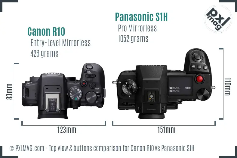 Canon R10 vs Panasonic S1H top view buttons comparison