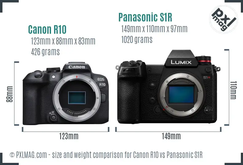 Canon R10 vs Panasonic S1R size comparison