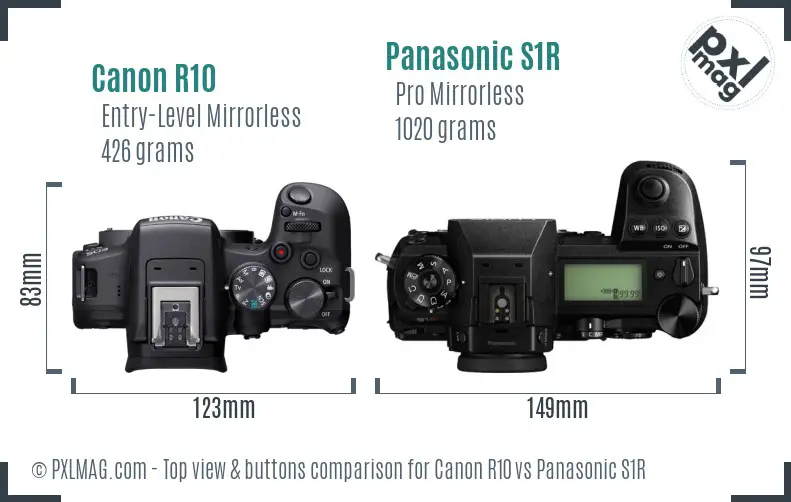Canon R10 vs Panasonic S1R top view buttons comparison