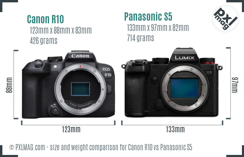 Canon R10 vs Panasonic S5 size comparison