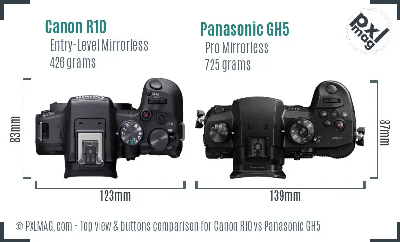 Canon R10 vs Panasonic GH5 top view buttons comparison