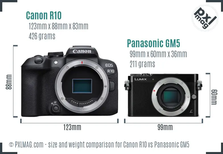 Canon R10 vs Panasonic GM5 size comparison