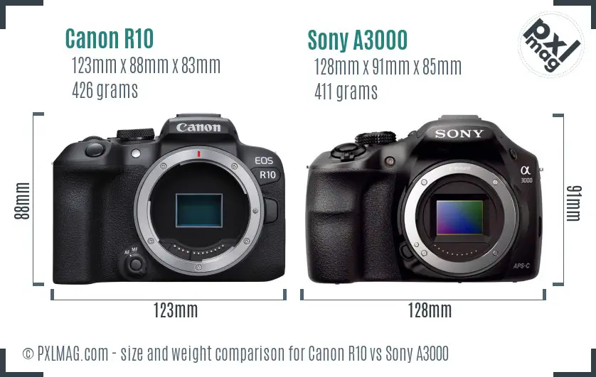 Canon R10 vs Sony A3000 size comparison