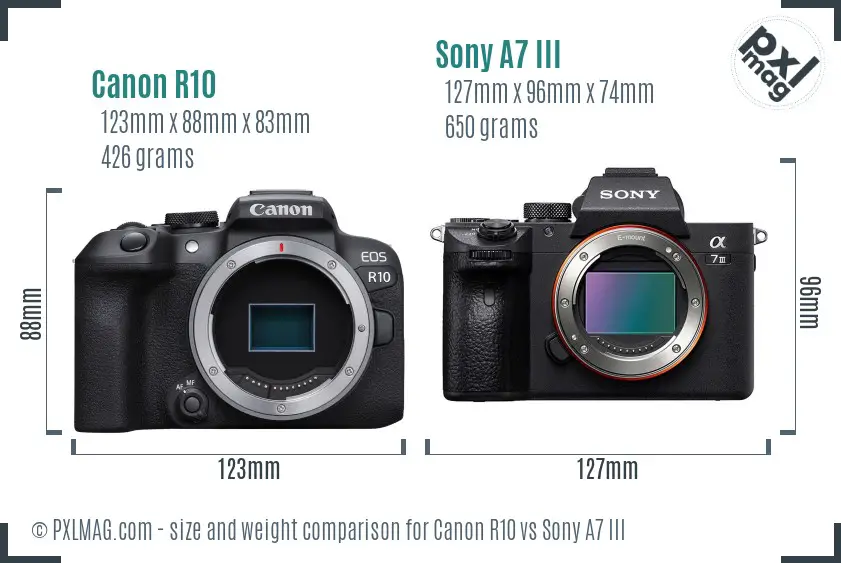 Canon R10 vs Sony A7 III size comparison