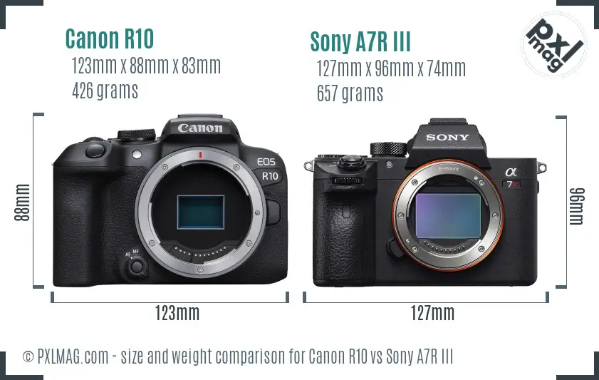 Canon R10 vs Sony A7R III size comparison