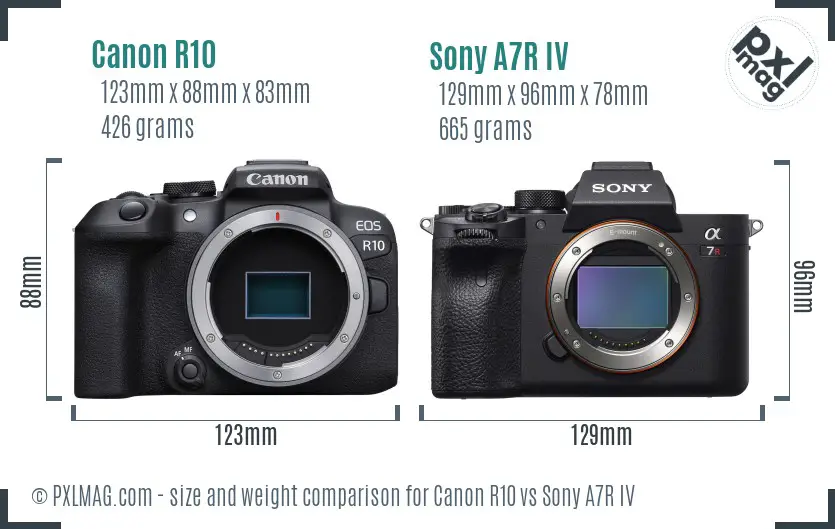 Canon R10 vs Sony A7R IV size comparison