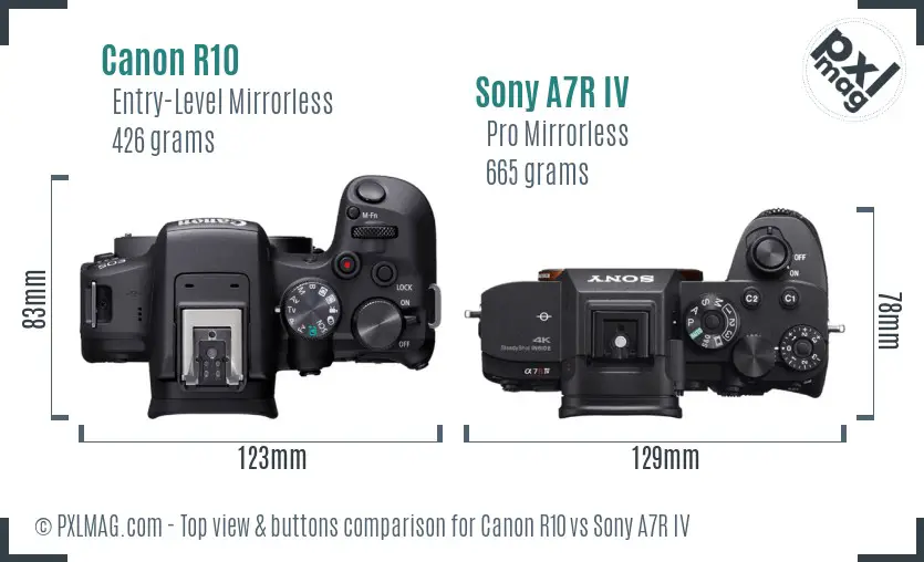 Canon R10 vs Sony A7R IV top view buttons comparison