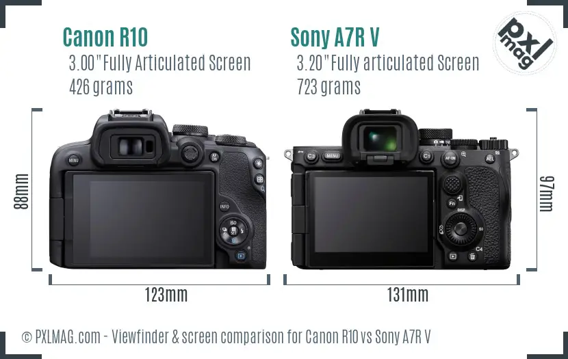 Canon R10 vs Sony A7R V Screen and Viewfinder comparison