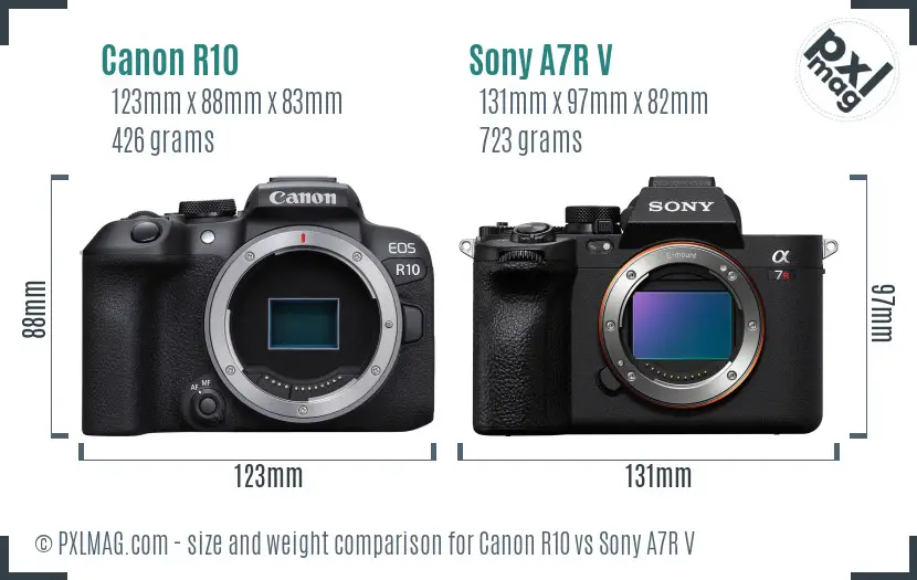 Canon R10 vs Sony A7R V size comparison