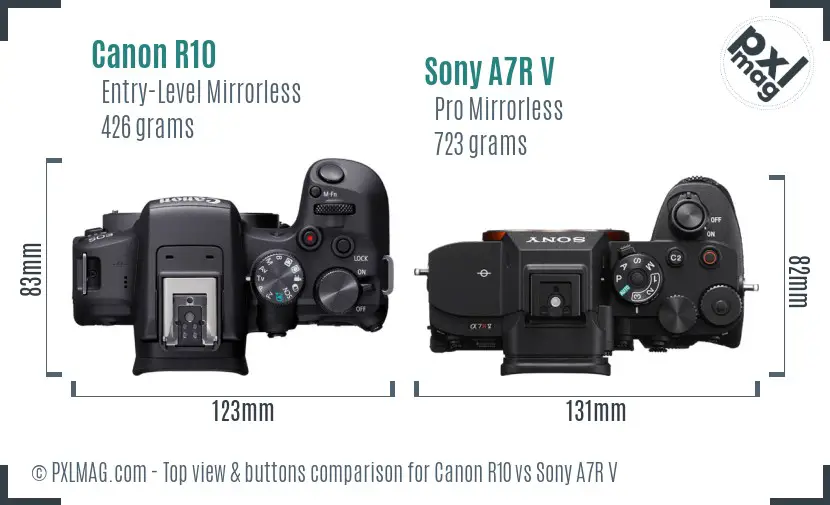 Canon R10 vs Sony A7R V top view buttons comparison