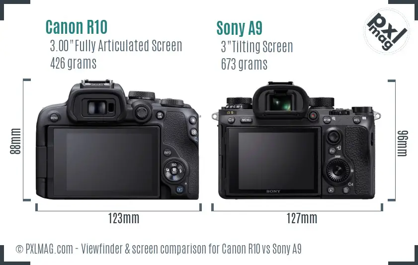 Canon R10 vs Sony A9 Screen and Viewfinder comparison