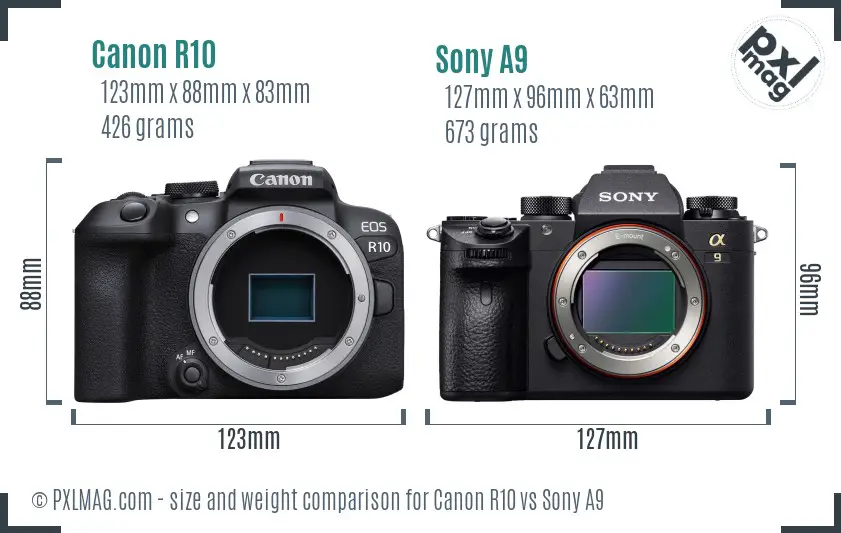 Canon R10 vs Sony A9 size comparison