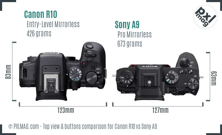 Canon R10 vs Sony A9 top view buttons comparison