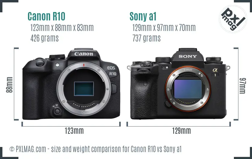 Canon R10 vs Sony a1 size comparison