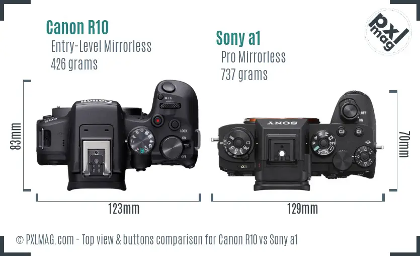 Canon R10 vs Sony a1 top view buttons comparison