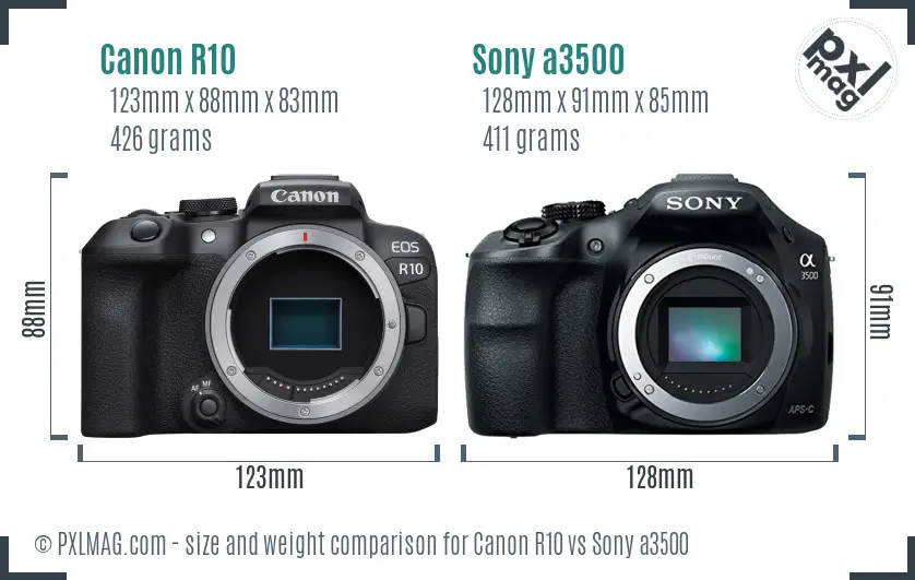 Canon R10 vs Sony a3500 size comparison