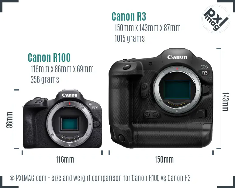 Size and ergonomics comparison of Canon R100 and R3