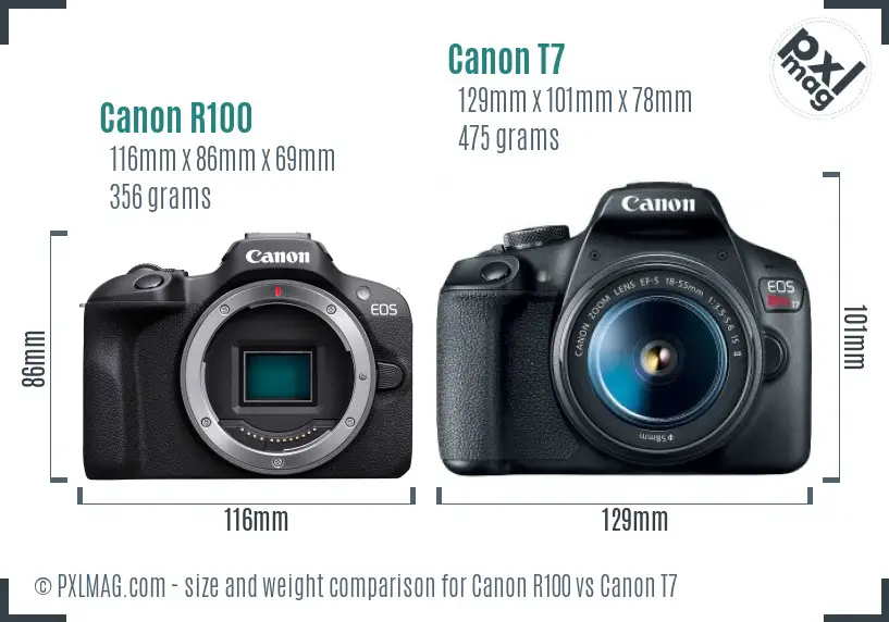 Canon R100 vs Canon T7 size comparison Canon R100 vs Canon T7 size comparison