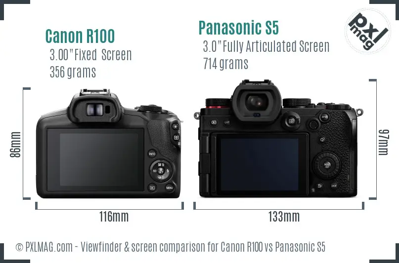 Canon R100 vs Panasonic S5 Screen and Viewfinder comparison