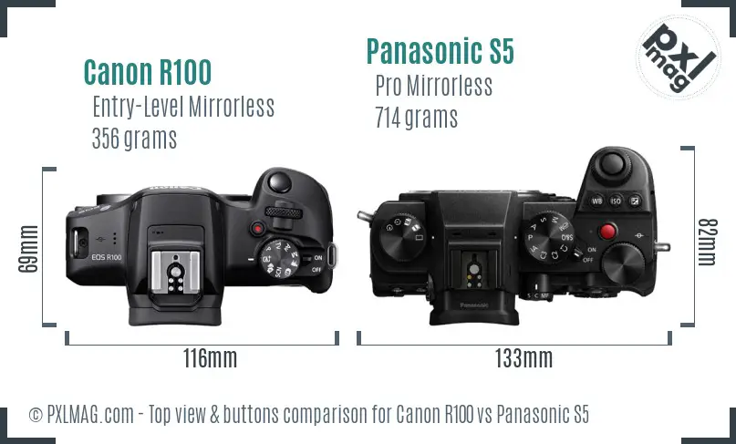 Canon R100 vs Panasonic S5 top view buttons comparison