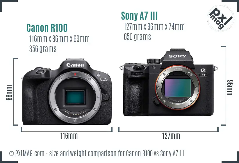 Canon R100 vs Sony A7 III size comparison