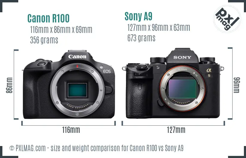 Canon R100 vs Sony A9 size comparison