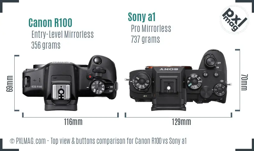 Canon R100 vs Sony a1 top view buttons comparison