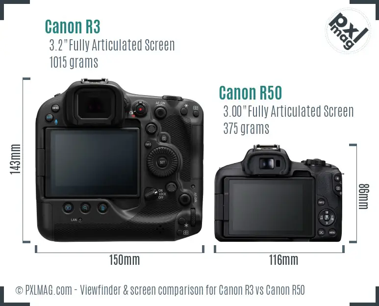 Canon R3 vs Canon R50 Screen and Viewfinder comparison