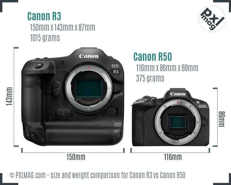 Canon R3 vs Canon R50 size comparison