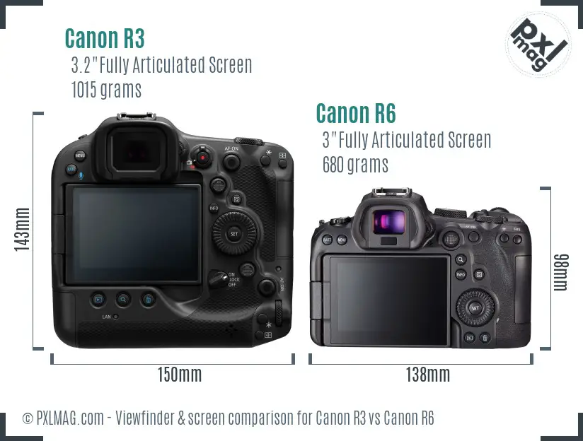 Canon R3 vs Canon R6 Screen and Viewfinder comparison
