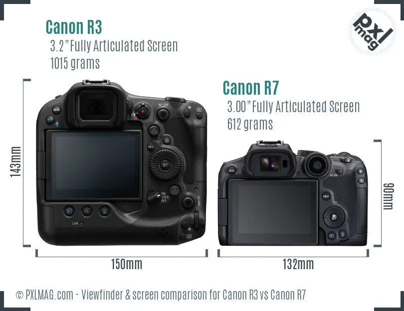 Canon R3 vs Canon R7 Screen and Viewfinder comparison