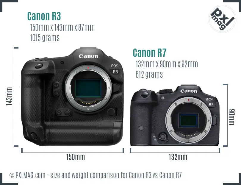Canon R3 vs Canon R7 size comparison Canon R3 vs Canon R7 size comparison
