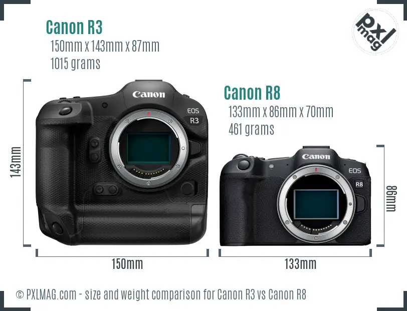 Canon R3 vs Canon R8 size comparison