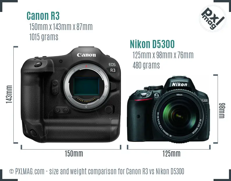 Canon R3 vs Nikon D5300 size comparison Canon R3 vs Nikon D5300 size comparison