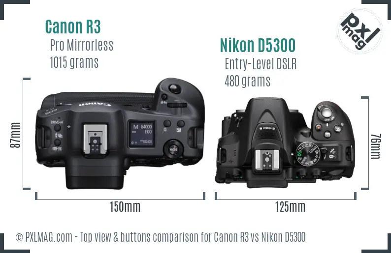 Canon R3 vs Nikon D5300 top view buttons comparison Canon R3 vs Nikon D5300 top view buttons comparison