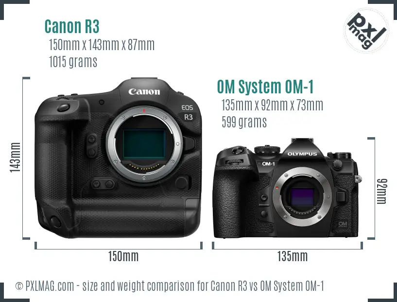 Canon R3 vs OM System OM-1 size comparison
