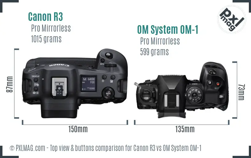 Canon R3 vs OM System OM-1 top view buttons comparison