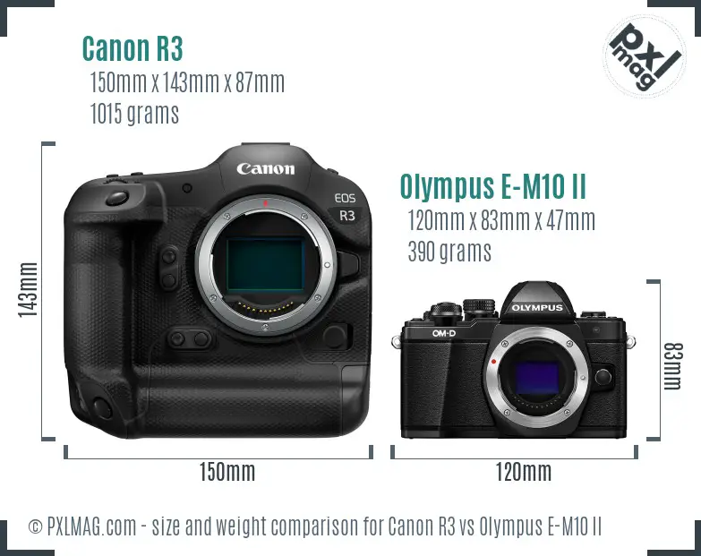 Canon R3 vs Olympus E-M10 II size comparison Canon R3 vs Olympus E-M10 II size comparison