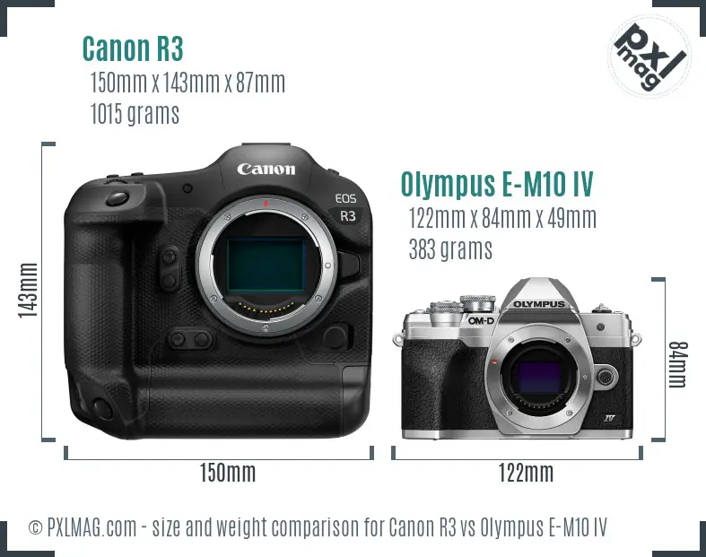 Canon R3 vs Olympus E-M10 IV size comparison