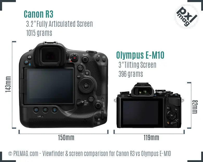 Canon R3 vs Olympus E-M10 Screen and Viewfinder comparison