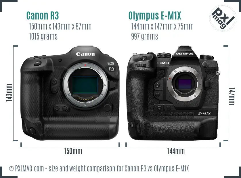 Canon R3 vs Olympus E-M1X size comparison